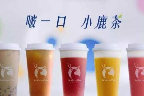 小鹿茶产品图